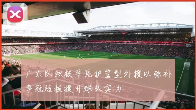 广东队积极寻觅护筐型外援以弥补争冠短板提升球队实力