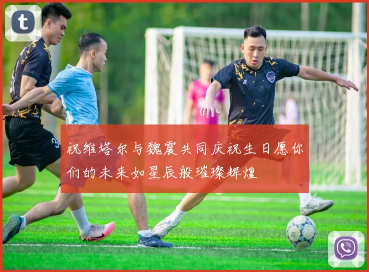 祝维塔尔与魏震共同庆祝生日愿你们的未来如星辰般璀璨辉煌